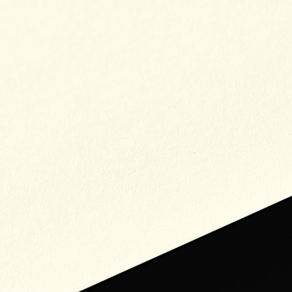 年賀名刺 P(縦・行書) プリンス(N)CoC ☆