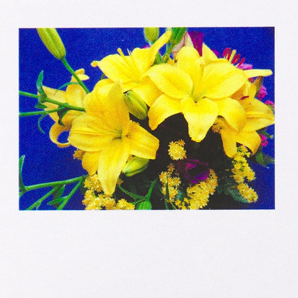 名刺 4号 50枚入 フォトカラー花 Aj 047 ユリ 名刺 山櫻 Soreal ソレアル