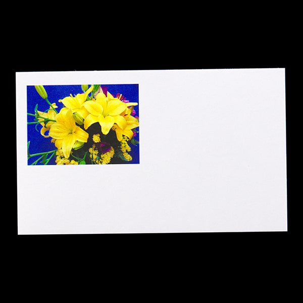 名刺 4号 50枚入 フォトカラー花 Aj 047 ユリ 名刺 山櫻 Soreal ソレアル